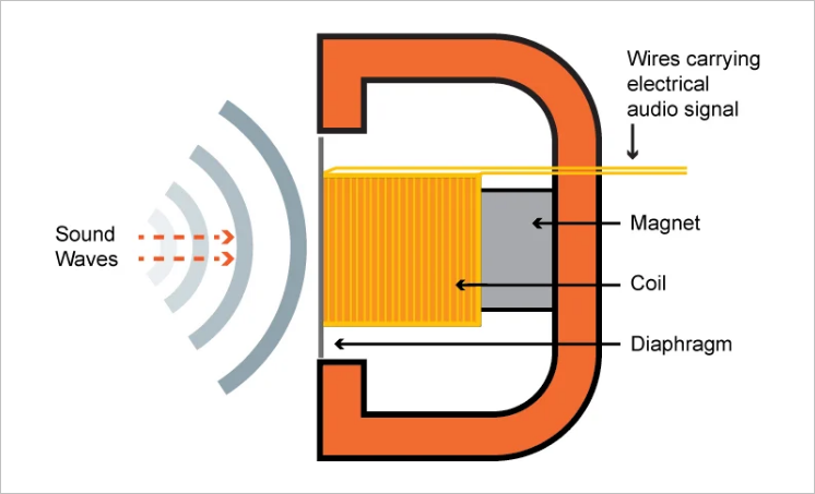 ▲ 图1.0.1 电磁感应话筒横截面结构示意图