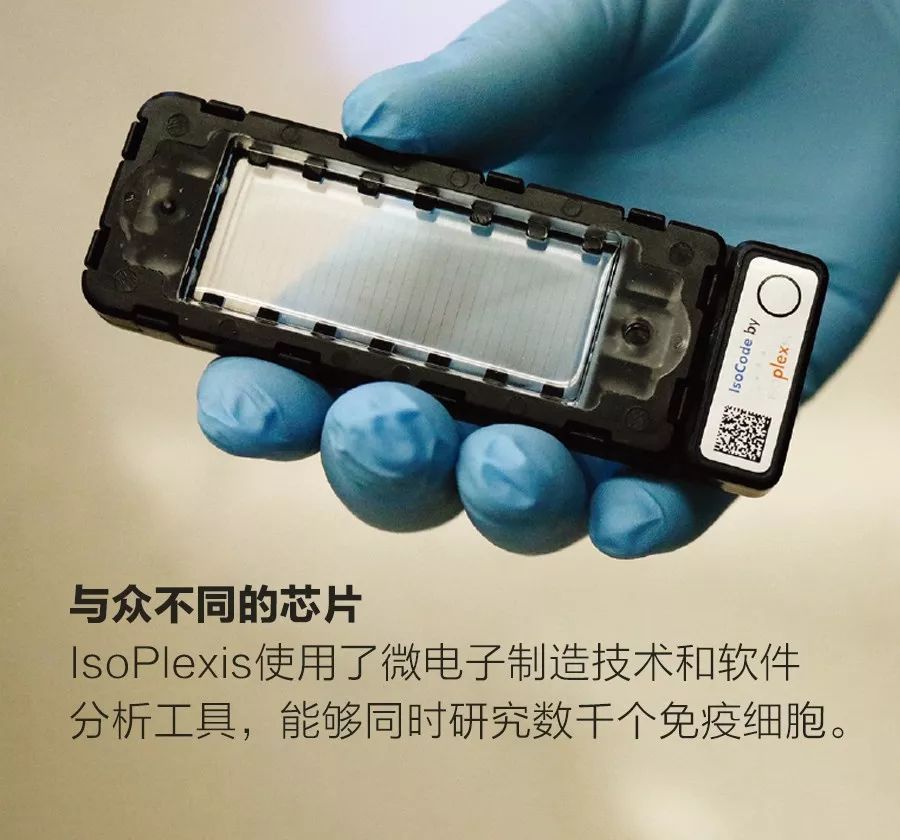 IsoPlexis制造出了一种“微芯片”用软件和微电子制造技术与癌症抗争