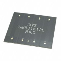 IXYS(艾赛斯.力特) SM531K12L