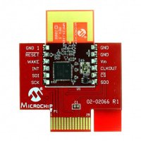 MICROCHIP(微芯) AC164134