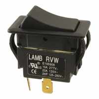 E-Switch RVW41D1100