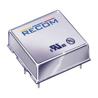 RECOM Power RP10-4812SAW/XC