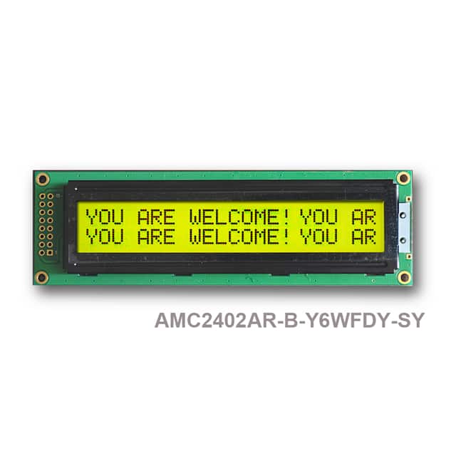 AMC2402AR-B-Y6WFDY_显示器模块