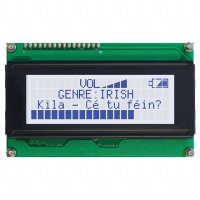 LK204-25-GW-V_显示器模块